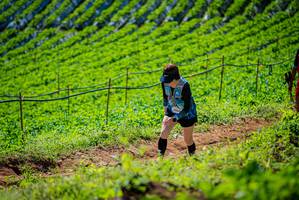 BIB: 
                            <button type="button" onclick="openModal(19162975)" class="btn btn-primary btn-sm float-right btn-popup" data-toggle="modal" data-target=".modal-high-quality">
                        <i class="fas fa-shopping-cart"></i> Add to Cart
                    </button>
                                            <button type="button" onclick="isThisMe(19162975, true)" class="btn btn-success btn-sm float-right btn-popup btn-isme hidden" data-toggle="tooltip" data-placement="bottom" title="นี่คือรูปของคุณใช่ไหม คลิกที่นี่เพื่อเอาเข้าอัลบั้ม">
                        <i class="fas fa-plus"></i> Add to album
                    </button>
                    <button type="button" onclick="isThisMe(19162975, false)" class="btn btn-warning btn-sm float-right btn-popup btn-isnotme hidden">
                        <i class="fas fa-ban"></i> Remove from album
                    </button>